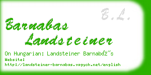 barnabas landsteiner business card